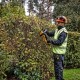 Акумулаторен храсторез 18V, 55 см, DeWalt DCMHT562N