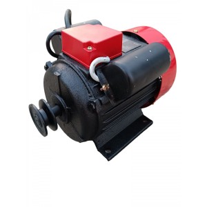 Електрически двигател 0.75kW - Y801-2
