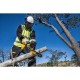 Верижен трион – резачка 18V, 30 см, 3/8″, DeWalt DCM565N