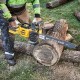 Верижен трион – резачка 54V, 50см, 3/8″, DeWalt DCMCS575N