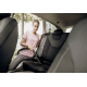 Прахосмукачка за сухо и мокро почистване WD 3 V-17/6/20 CAR