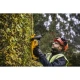 Акумулаторен храсторез 18V, DeWalt DCM563N