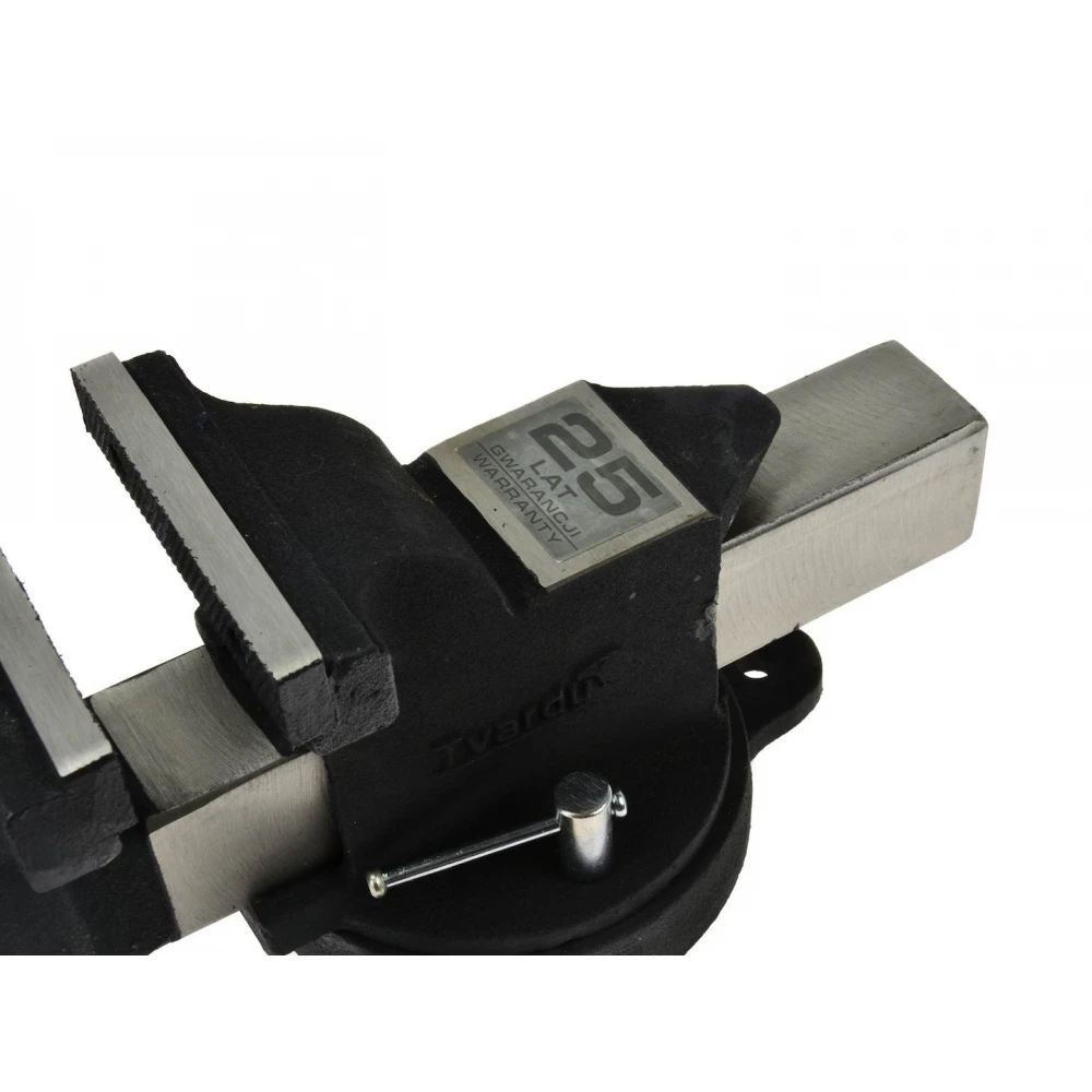 Професионално менгеме 125 мм с наковалня, и въртяща се основа - T00201