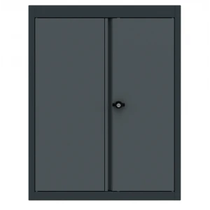 Стенен горен шкаф за инструменти, 2 врати, 530x620x795 мм - BG62TCD2L