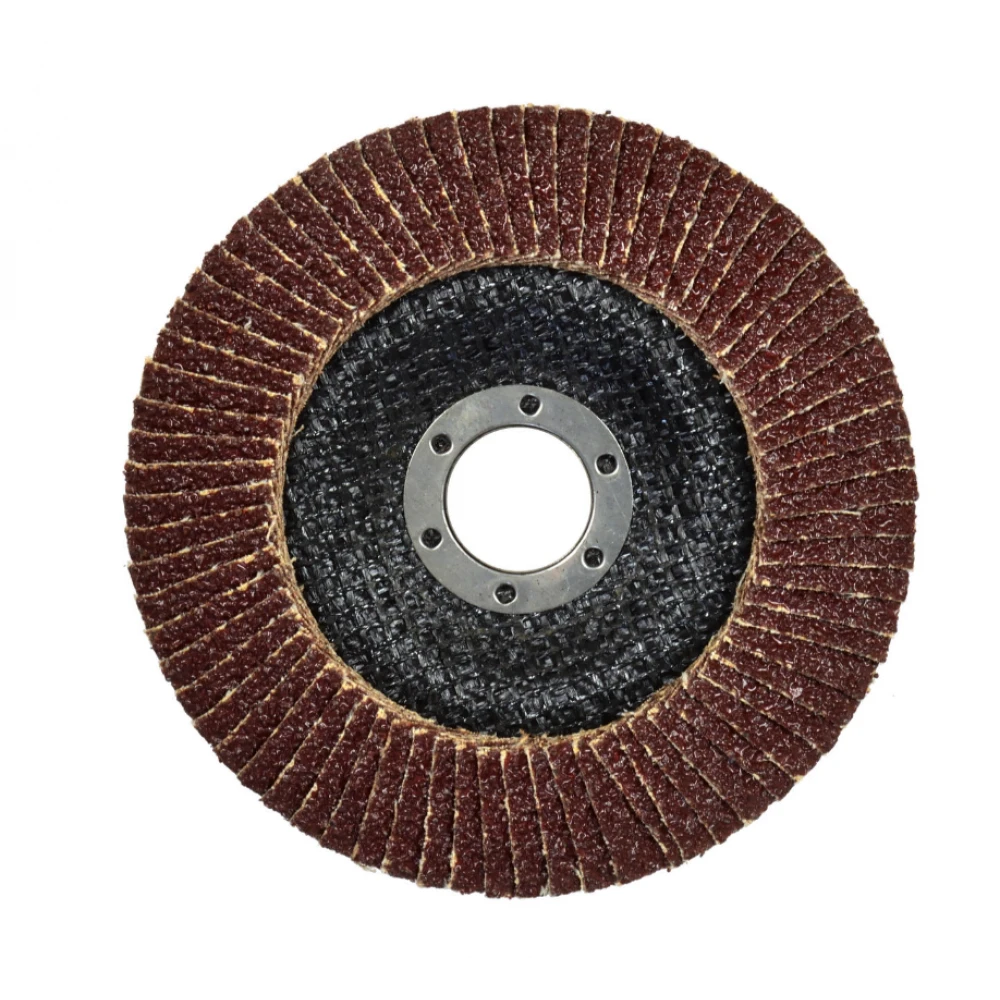 Ламелен диск 125 мм, P100 - G00307