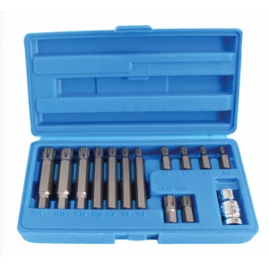 RIBE BITS – комплект накрайници 14 бр. - ASTA / SATRA S-RB1412