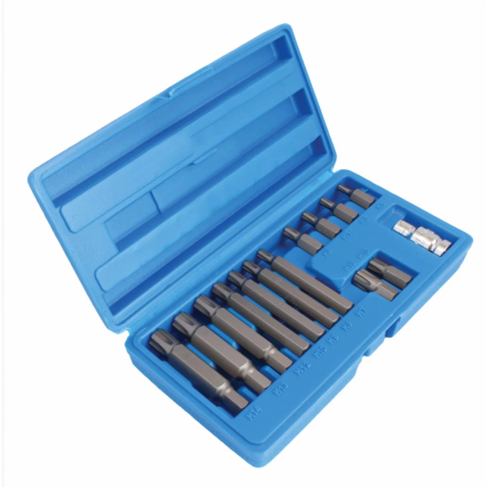 RIBE BITS – комплект накрайници 14 бр. - ASTA / SATRA S-RB1412