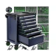 Мобилна количка за инструменти с оборудване от 298 части - W05002